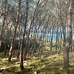 Stazzo Monti Russu Ferienhaus Aglientu