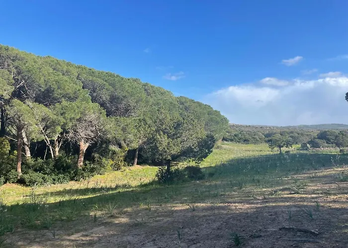 Stazzo Monti Russu Дом отдыха Альенту