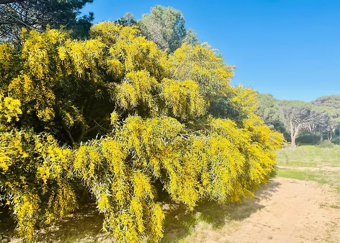 Stazzo Monti Russu Дом отдыха