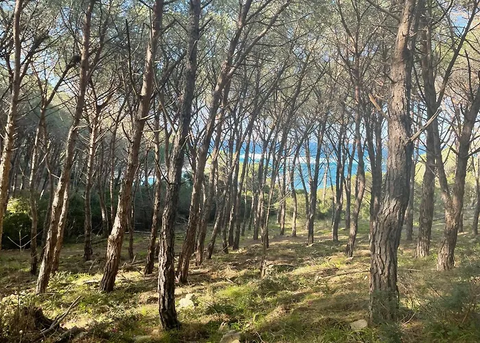 Stazzo Monti Russu Casa vacanze Aglientu