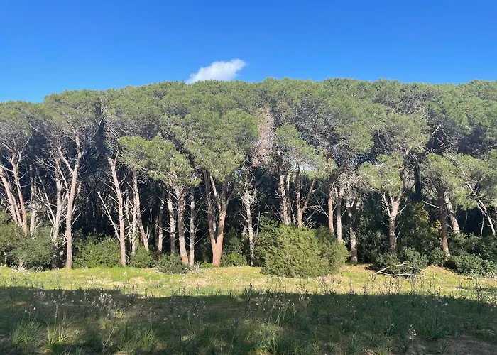 Stazzo Monti Russu Дом отдыха Альенту
